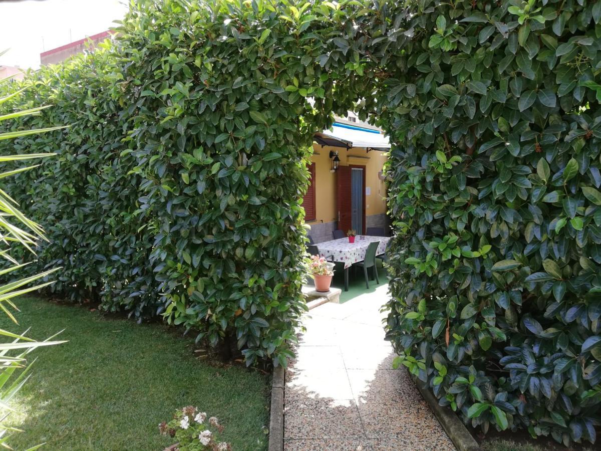 Depandance Con Piscina In Uso In Esclusivo In B&B SantʼAntonio Abate المظهر الخارجي الصورة